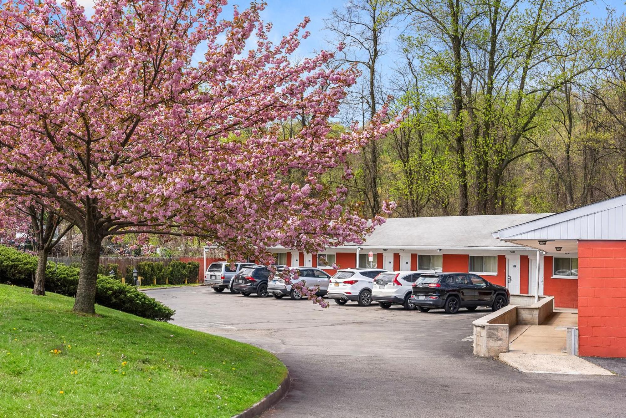 Ardsley Acres Hotel Court Esterno foto